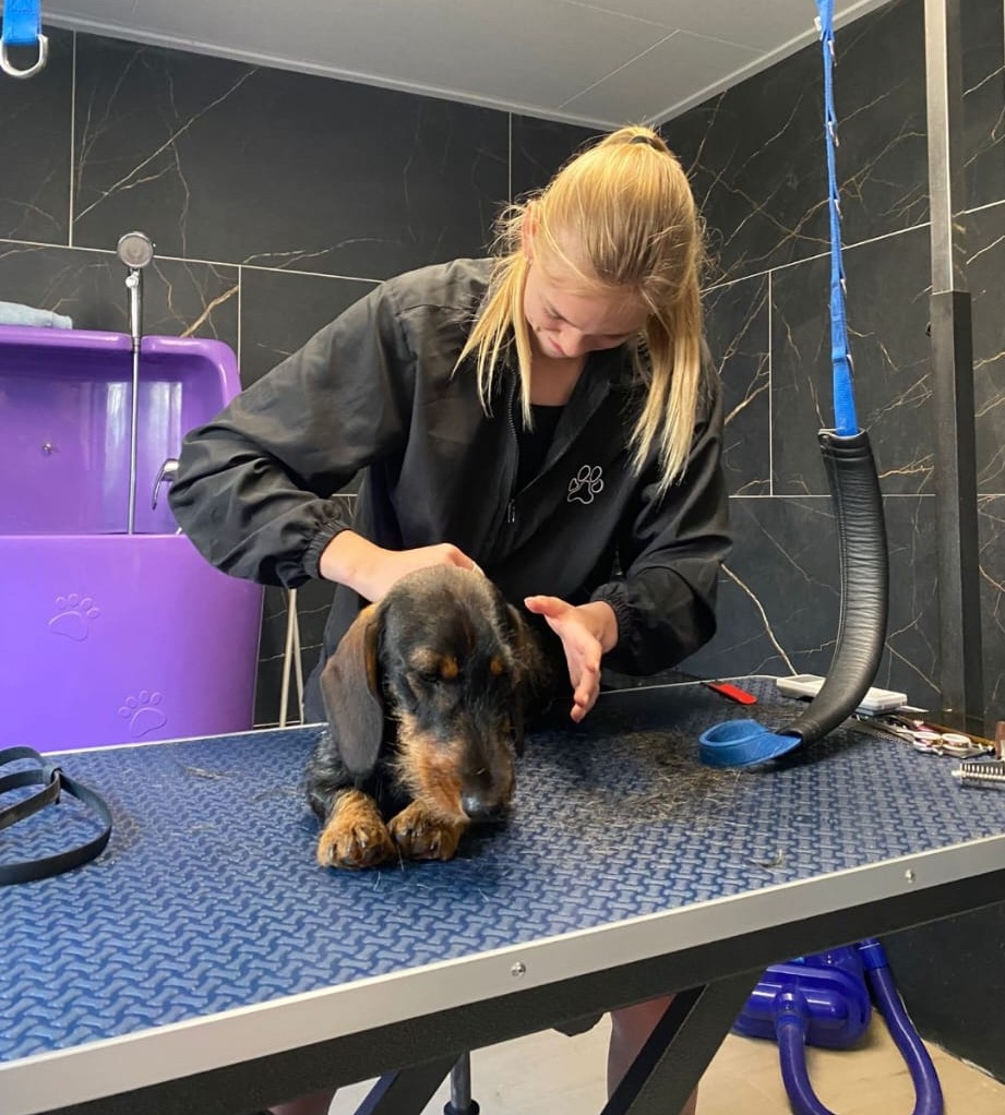 Trimsalon buddy's eigenaresse Eline van der Kaap