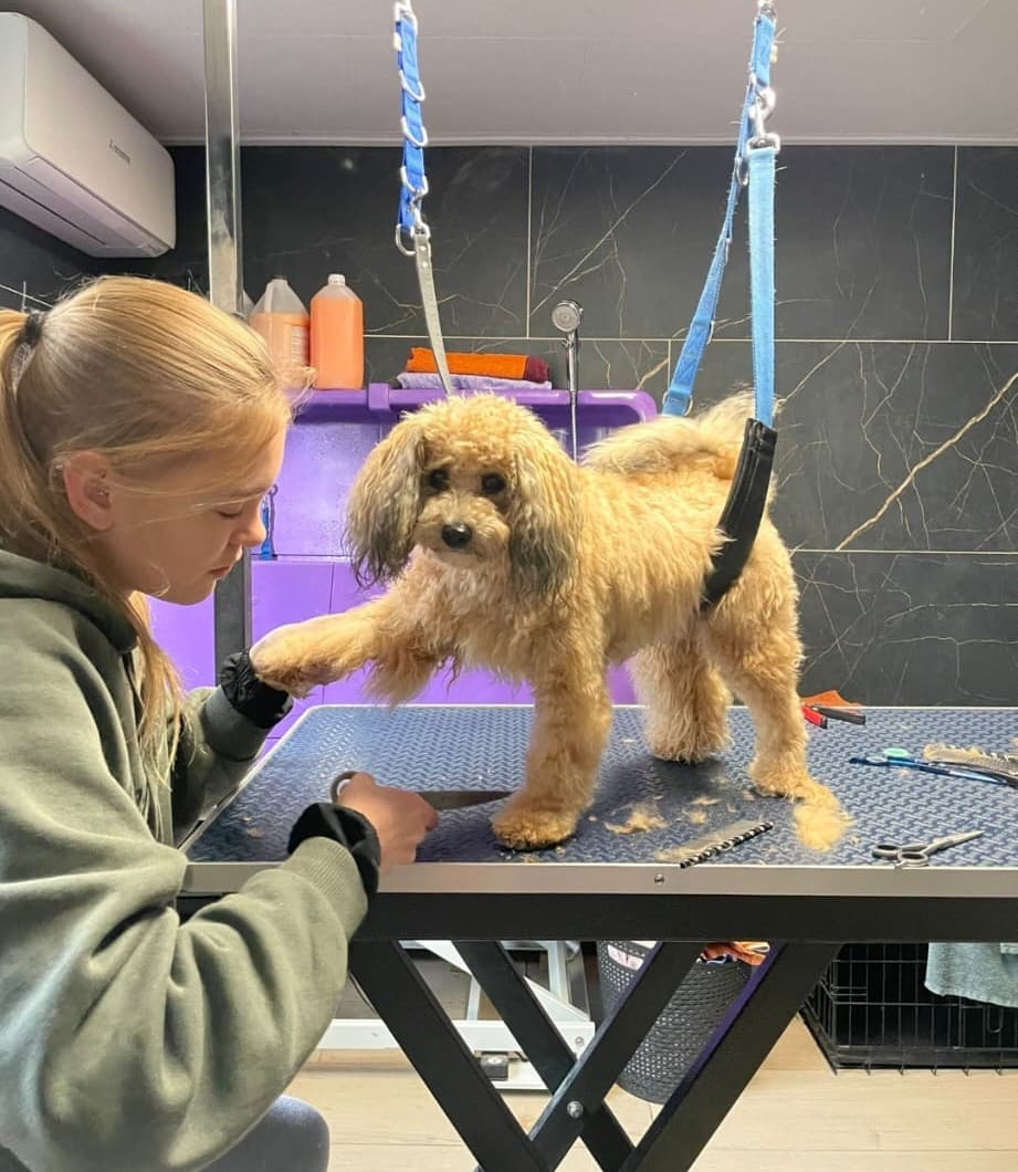 Eigenaresse Eline van der Kaap met hond
